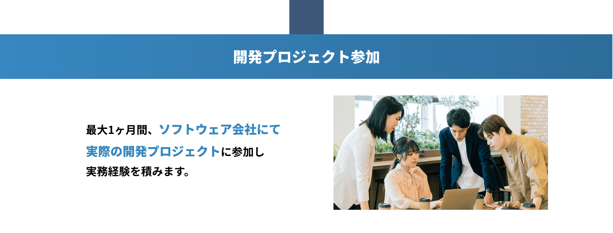 開発プロジェクト参加